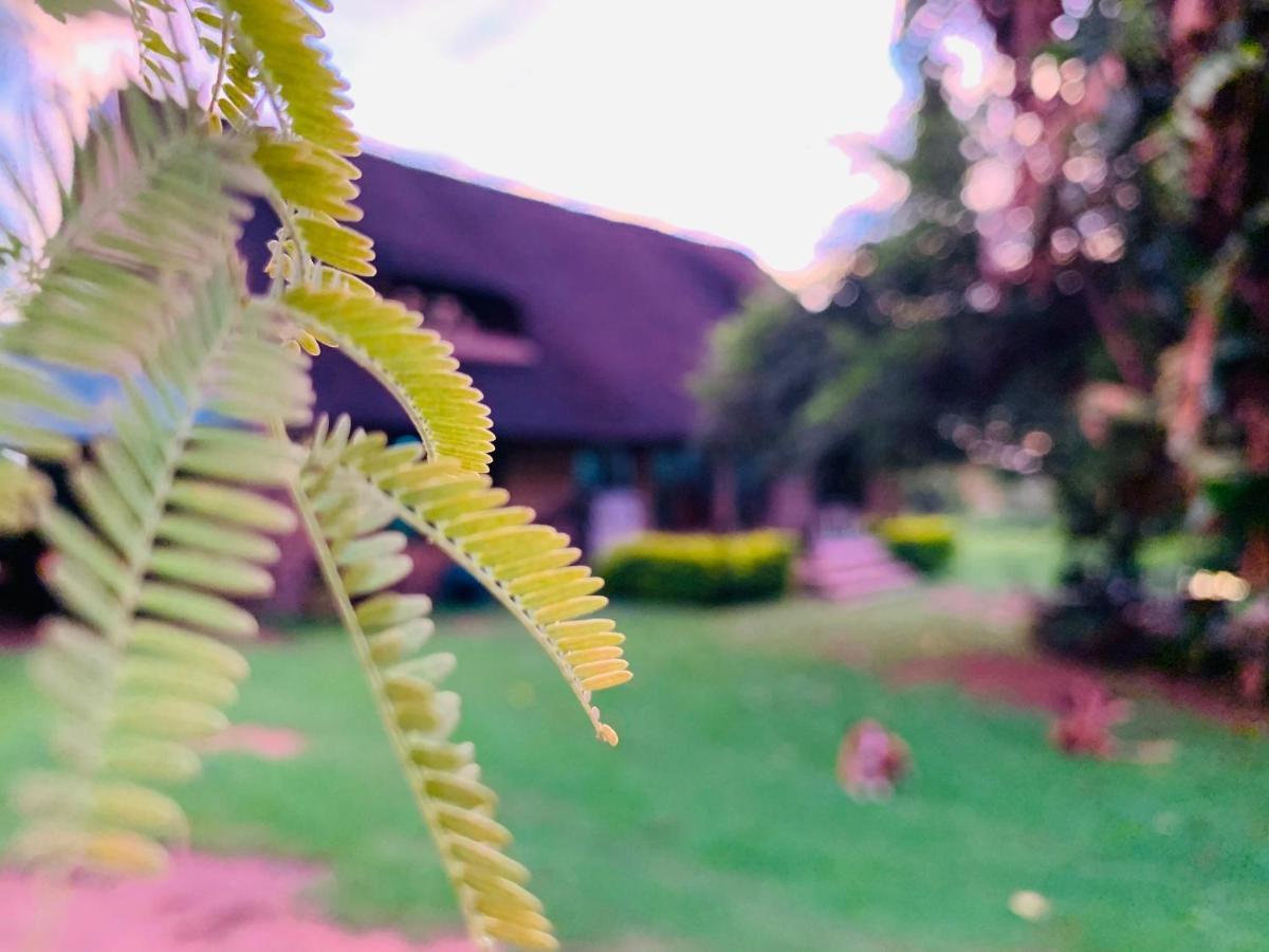 Farm Vibes Guesthouse ブリッツ エクステリア 写真