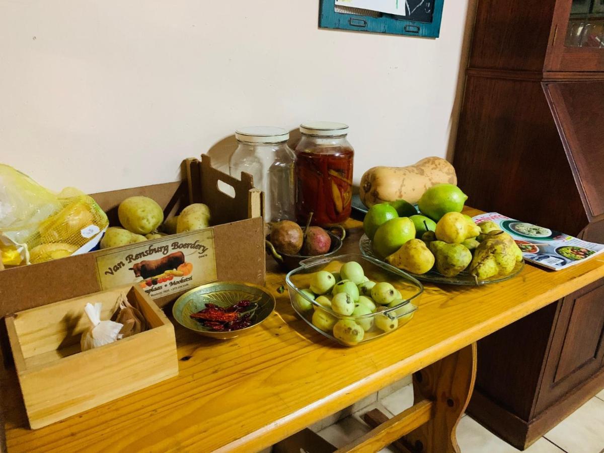 Farm Vibes Guesthouse ブリッツ エクステリア 写真