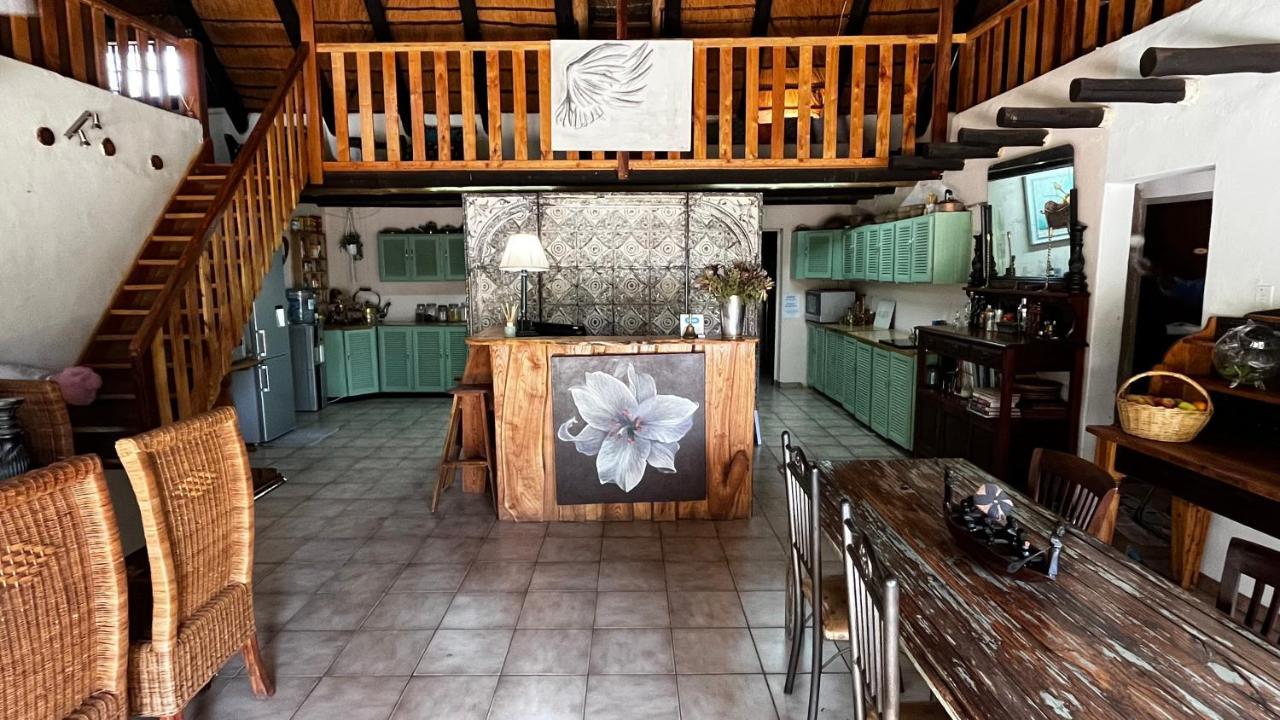 Farm Vibes Guesthouse ブリッツ エクステリア 写真